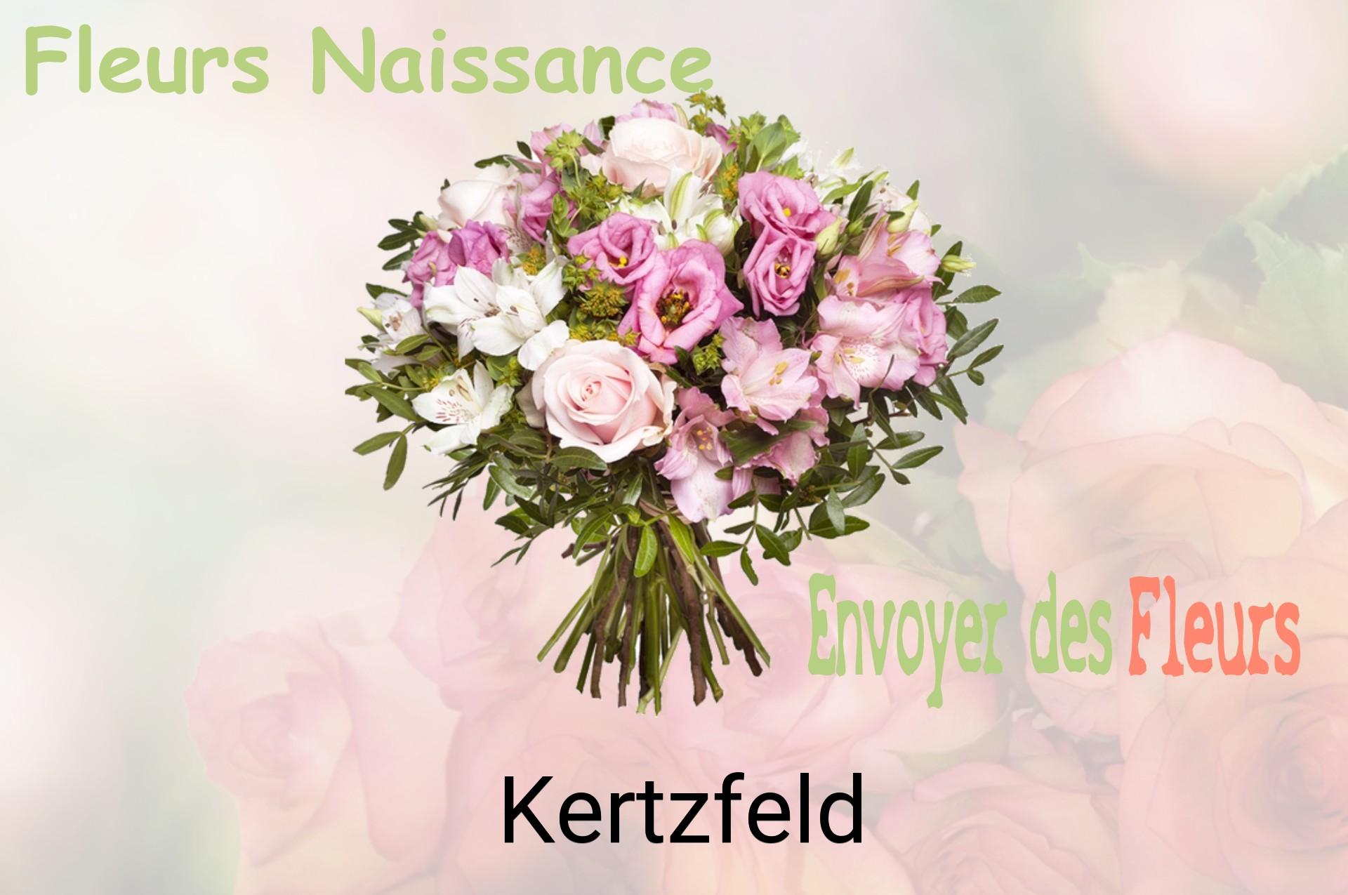 Bouquet de fleurs de naissance livré à Kertzfeld
